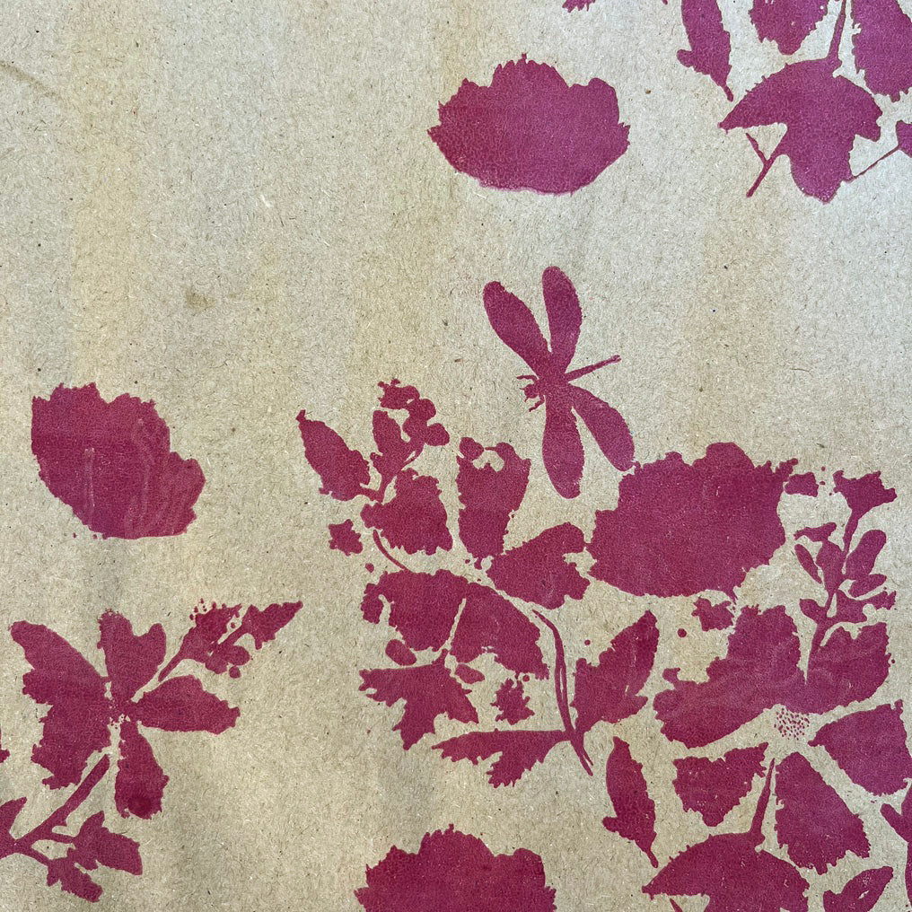 Dragonfly Garden Eco Giftwrap