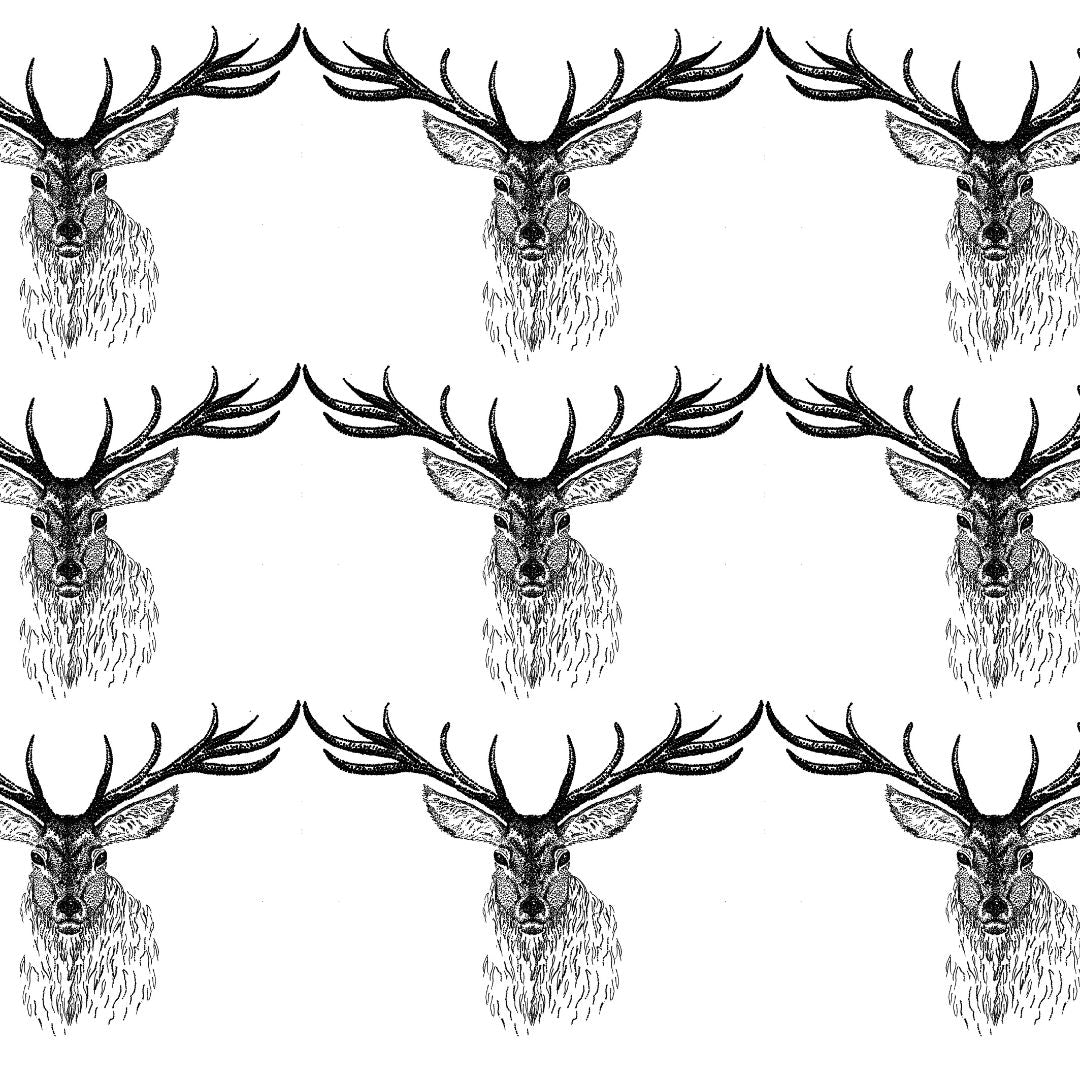 NEW Christmas Eco Giftwrap