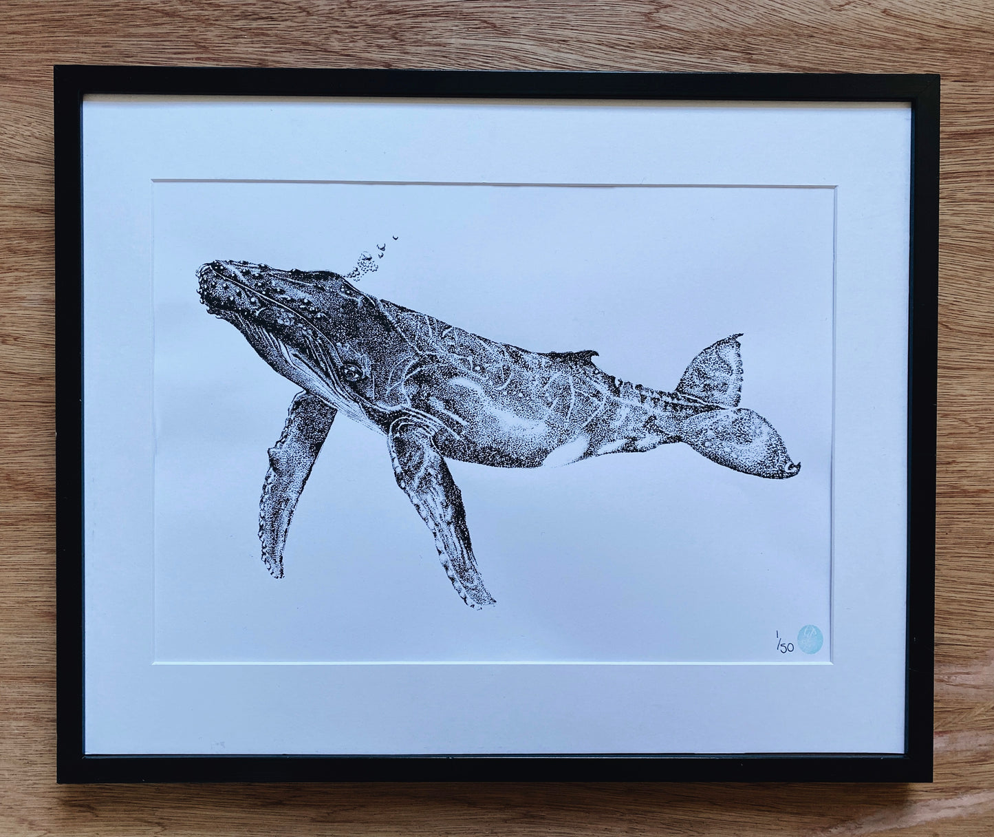 Henrietta the Humpback Whale