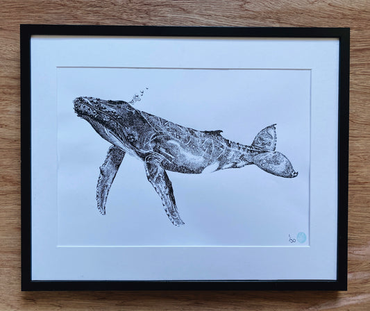 Henrietta the Humpback Whale
