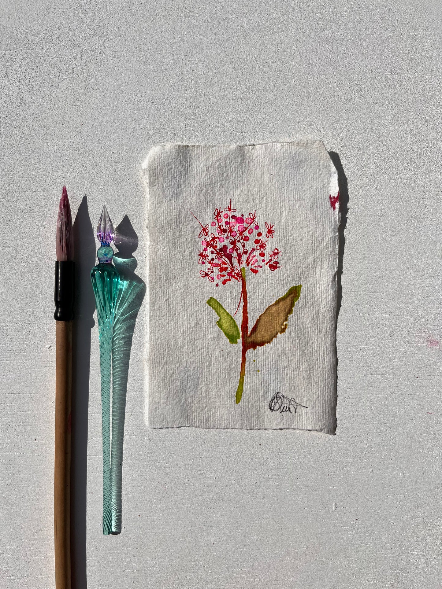 Botanical Paintings - Original Art.