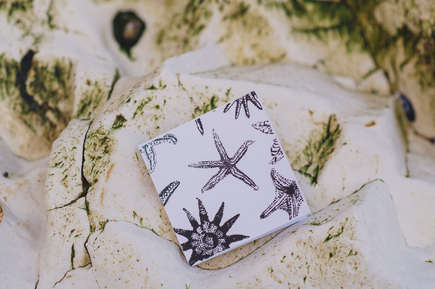 Starfish Card by Gem Blastock