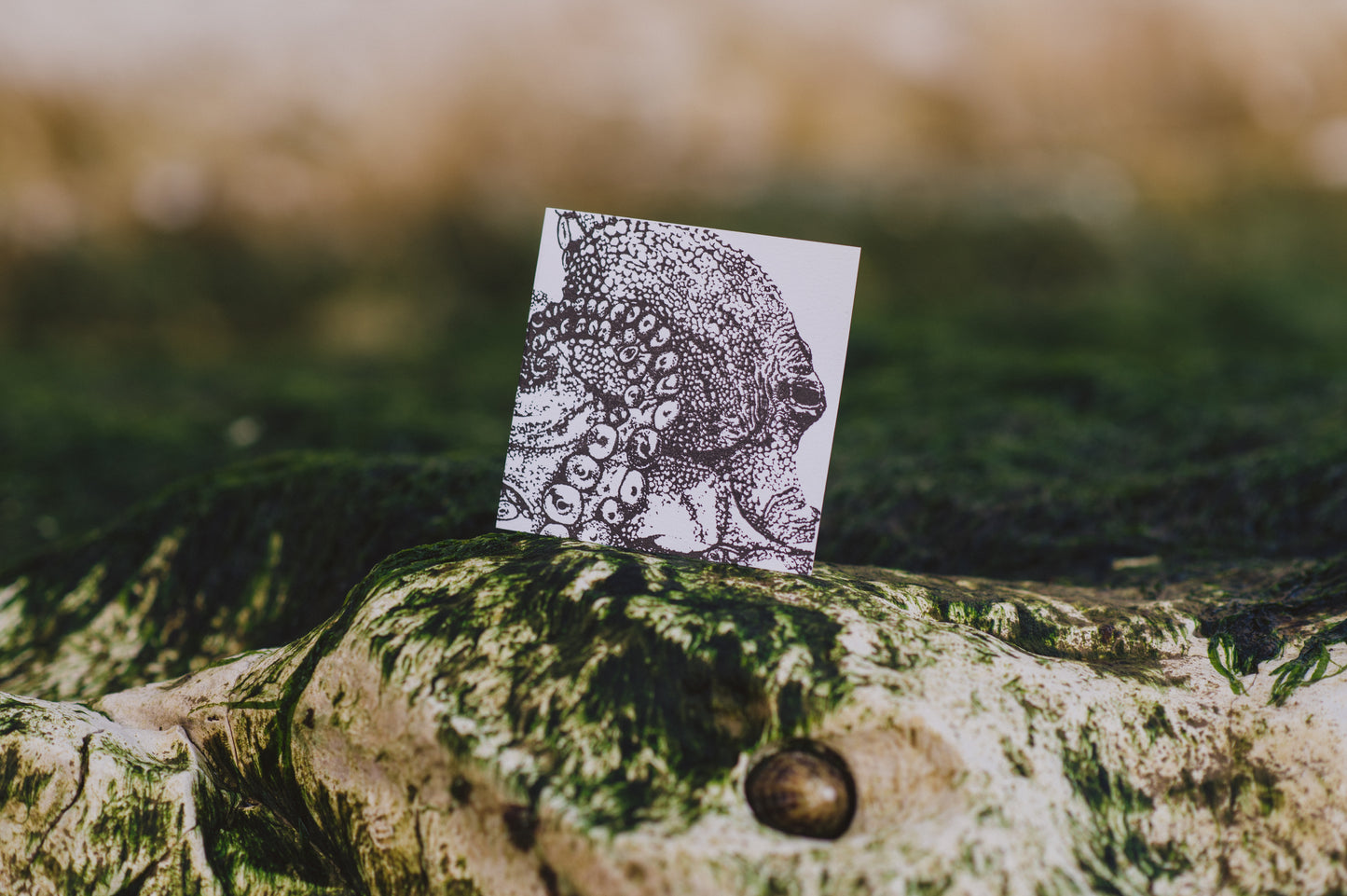 Octopus Card by Gem Blastock