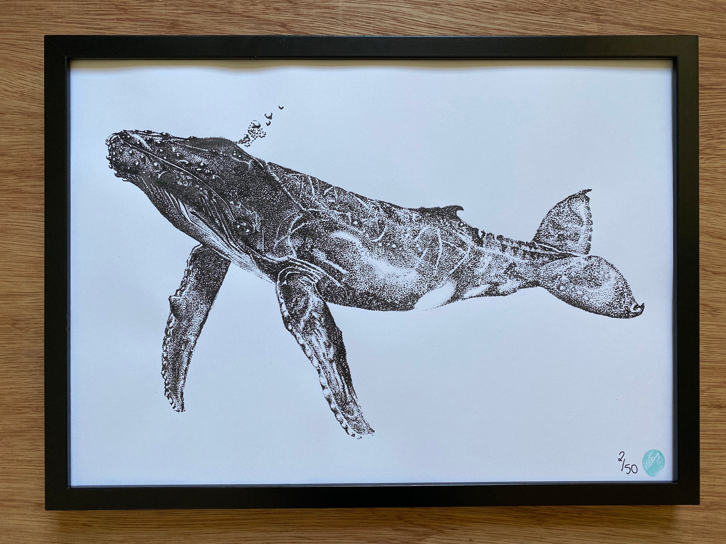 Henrietta the Humpback Whale