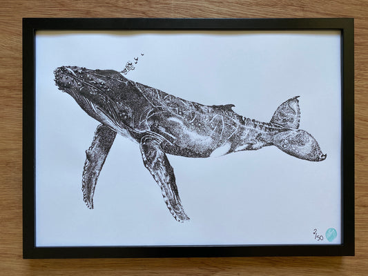 Henrietta the Humpback Whale