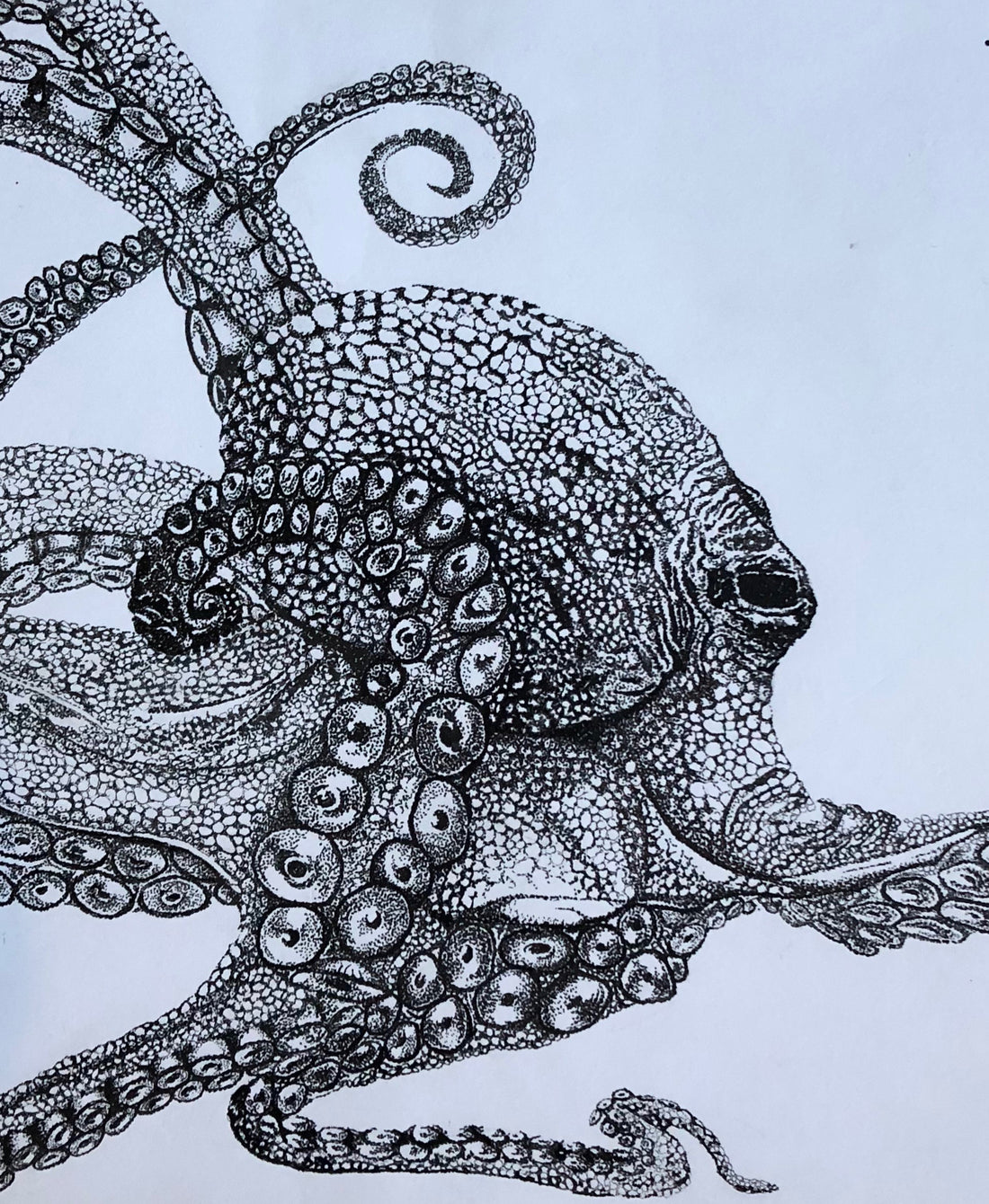 How I created Ollie the Octopus.