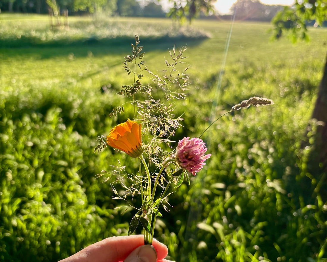 From coast to countryside:  my creative journey.