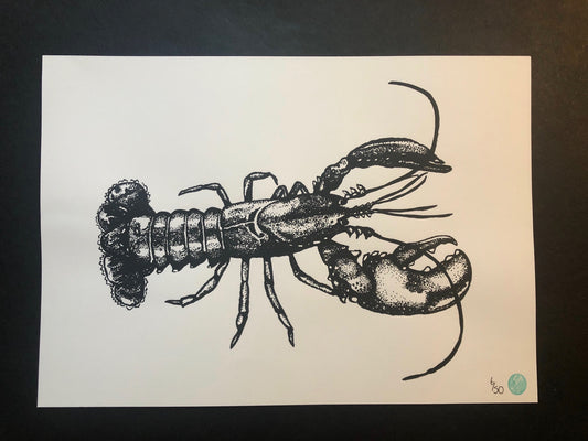 Lars the Lobster Print (unmounted)