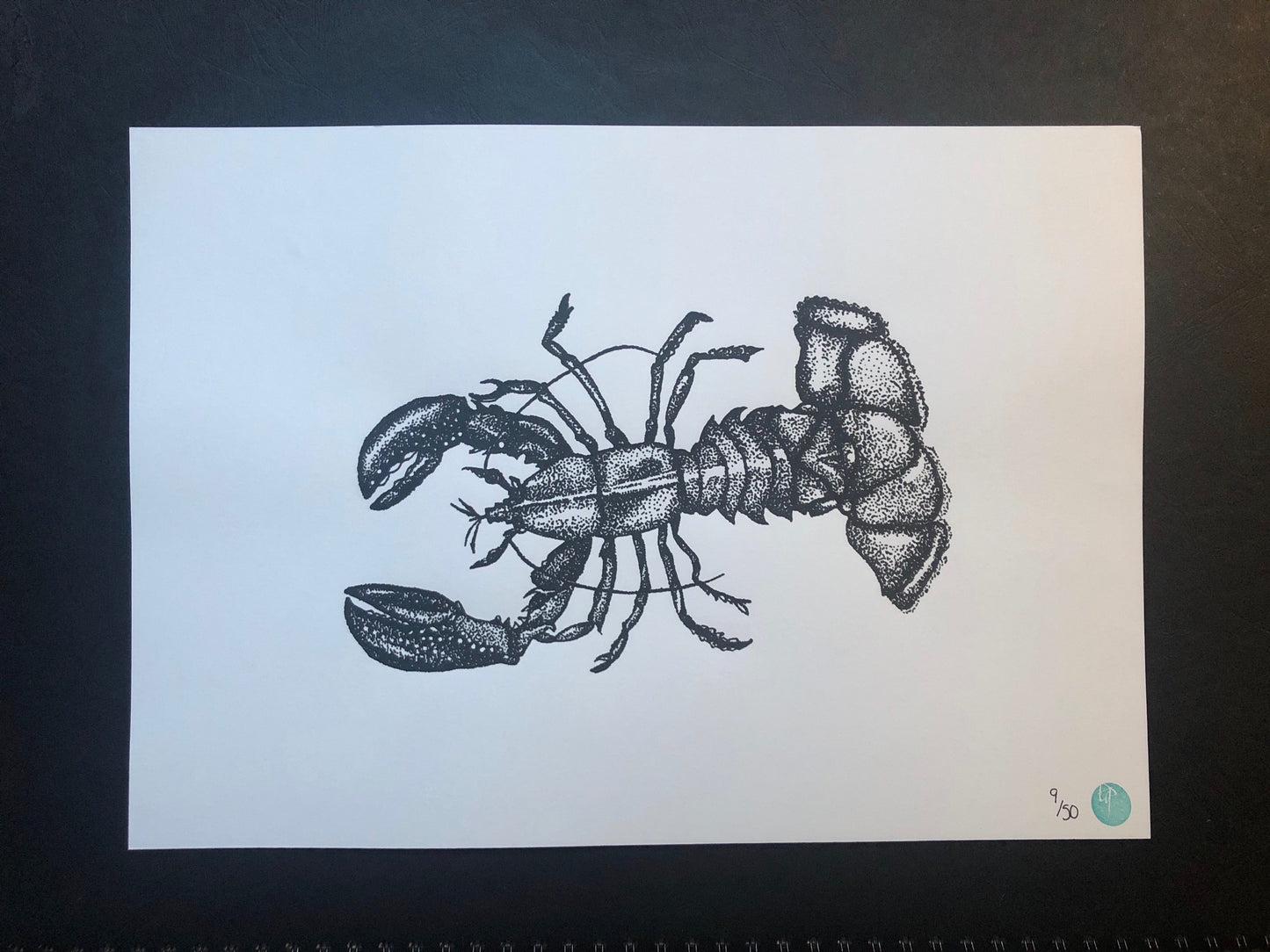 Larissa the Lobster (unmounted)