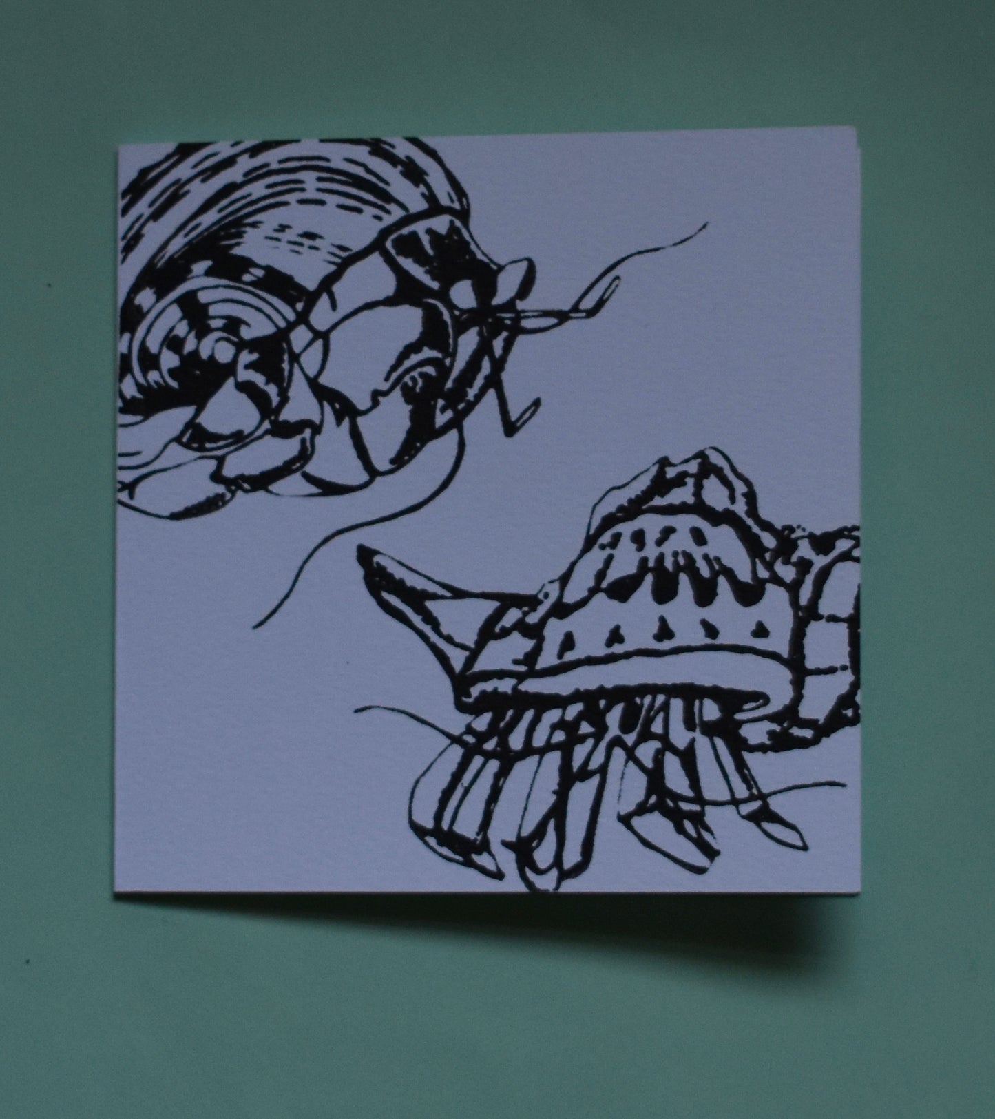 Hermit Crabs Card