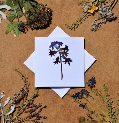 Botanical greeting cards