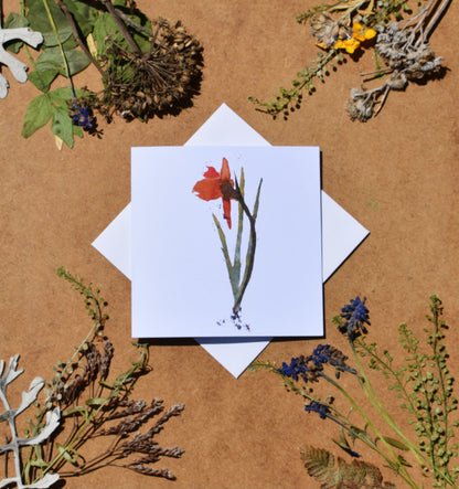 Botanical greeting cards