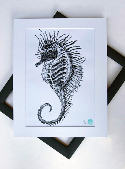Shergar the Seahorse