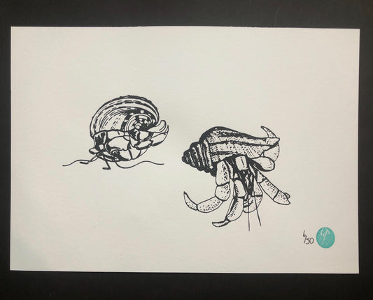 Unmounted Hermit Crab Pair Print